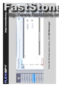 flexispy help